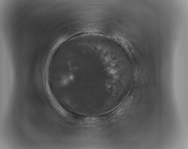 X0000112430145200908211207