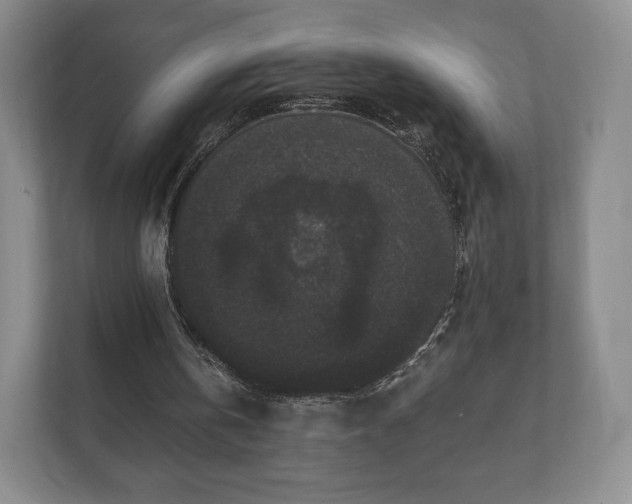 X0000112430146200908211207