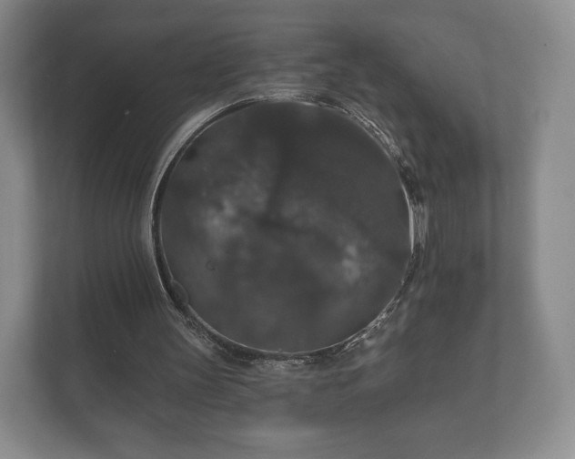 X0000112430147200908211207