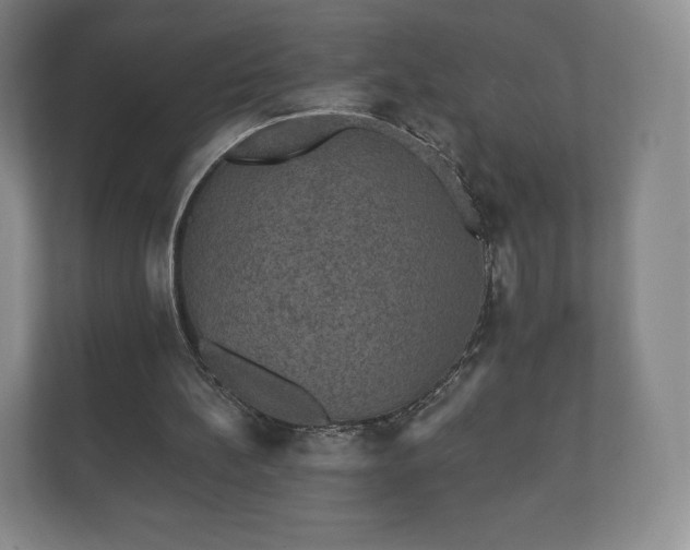 X0000112430148200908211207