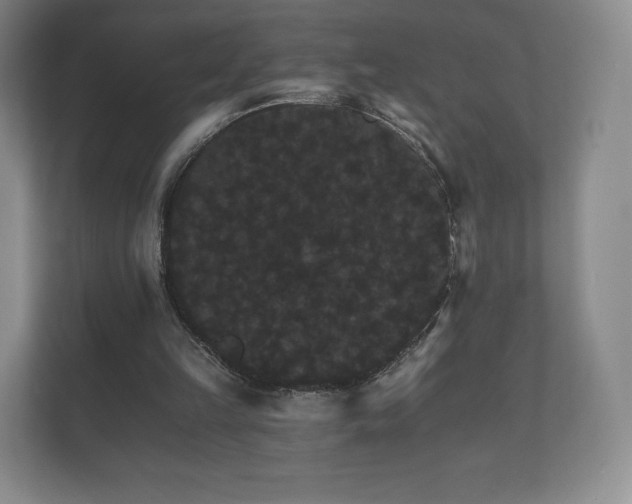X0000112430149200908211207