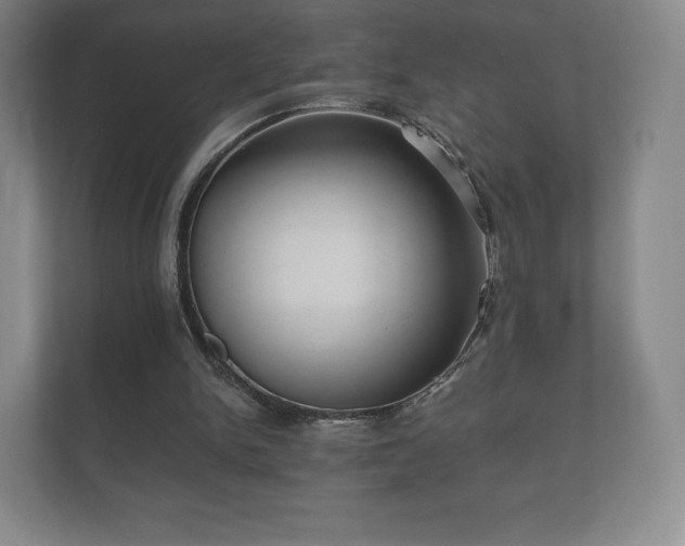 X0000112430150200908211207