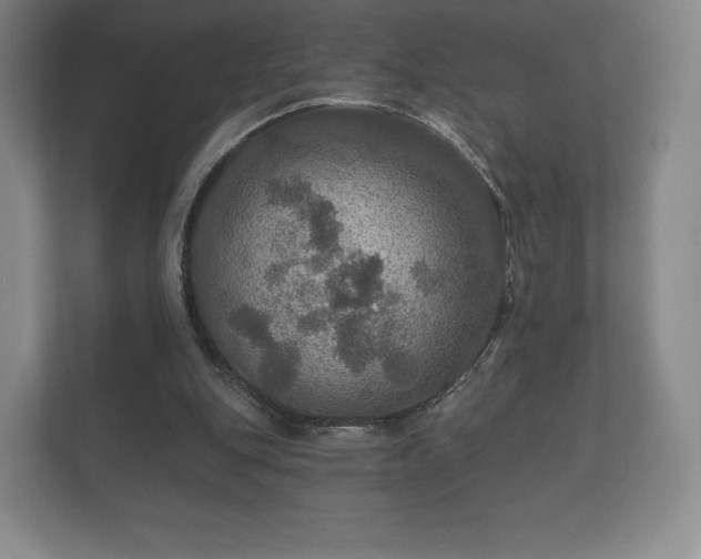 X0000112430151200908211208