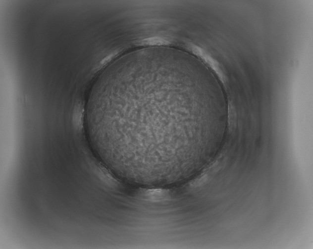 X0000112430153200908211208