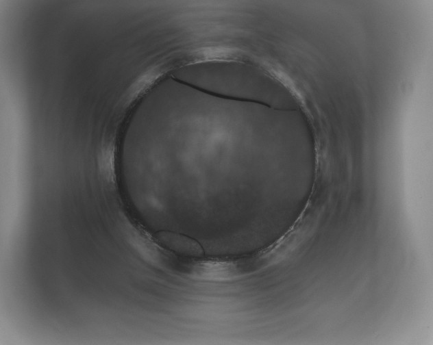 X0000112430154200908211208