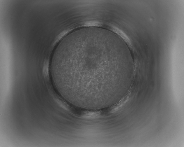 X0000112430155200908211208