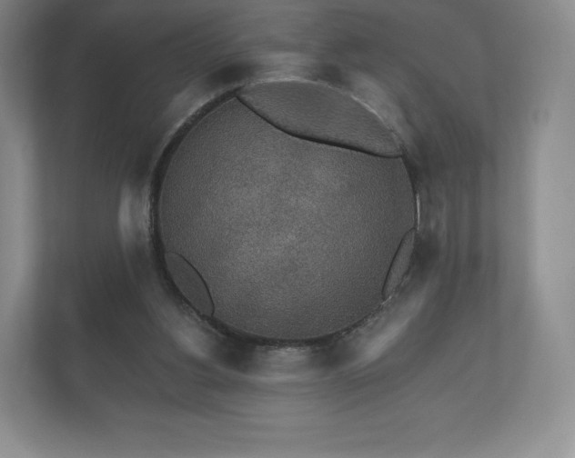 X0000112430156200908211208