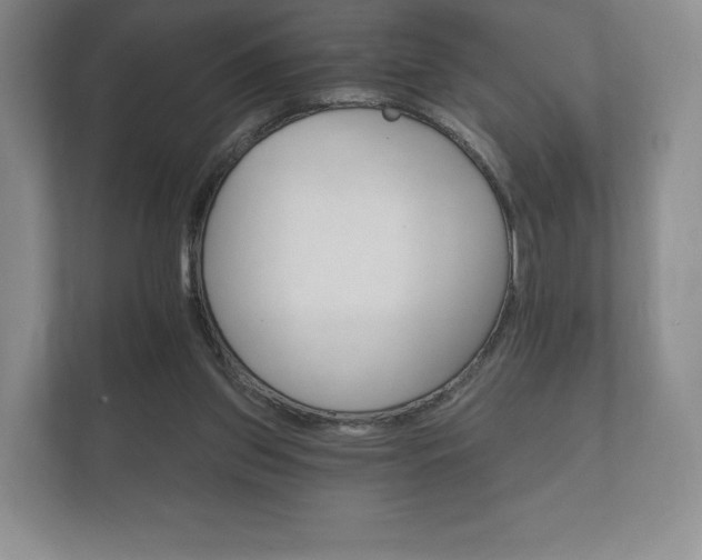 X0000112430157200908211208