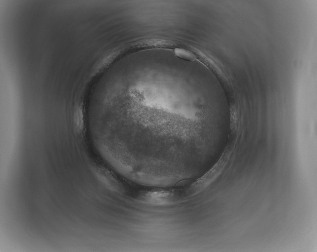 X0000112430158200908211208