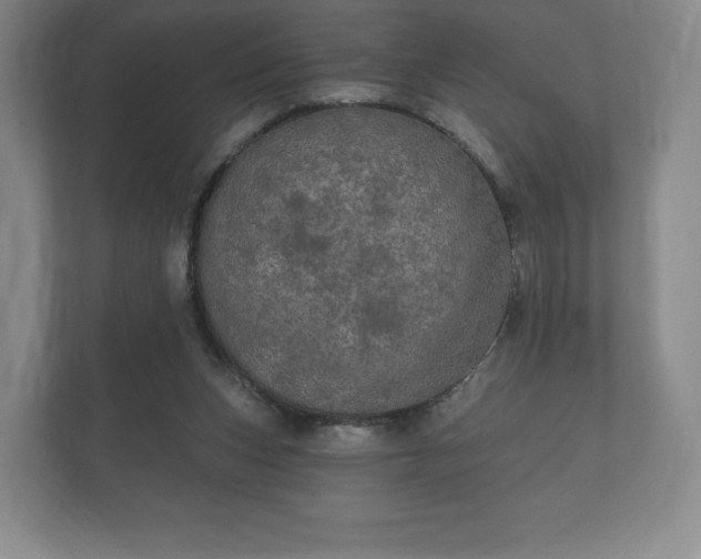 X0000112430159200908211208
