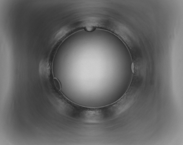X0000112430160200908211208