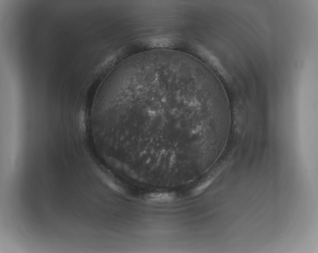 X0000112430161200908211208
