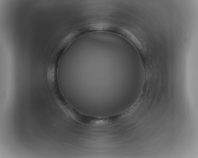 X0000112430163200908211208