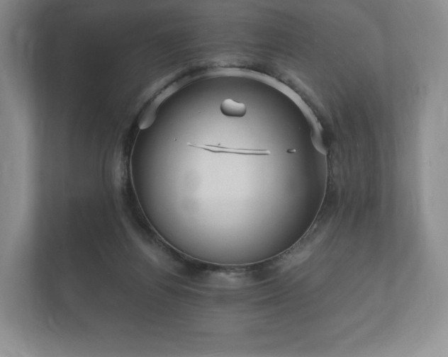 X0000112430164200908211208