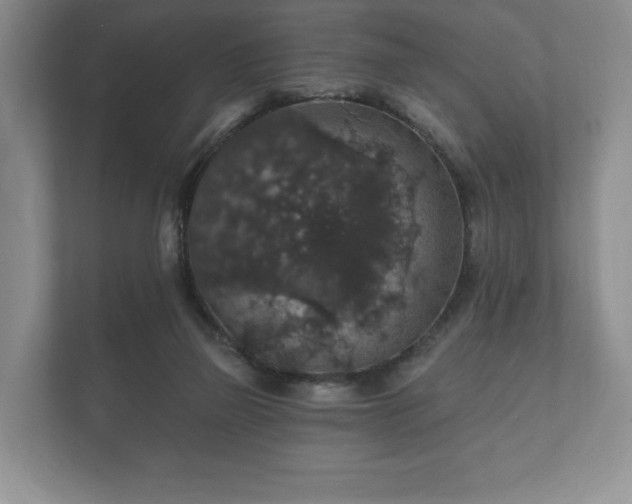 X0000112430165200908211208