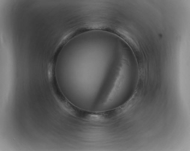 X0000112430167200908211208
