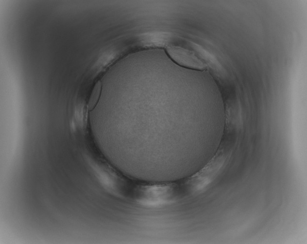 X0000112430168200908211208