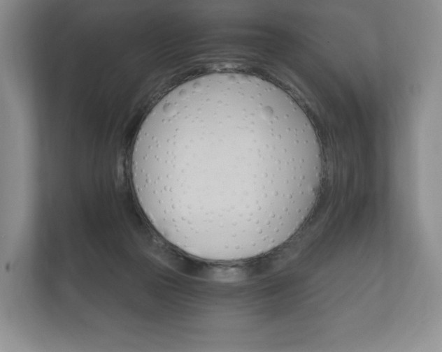 X0000112430169200908211208