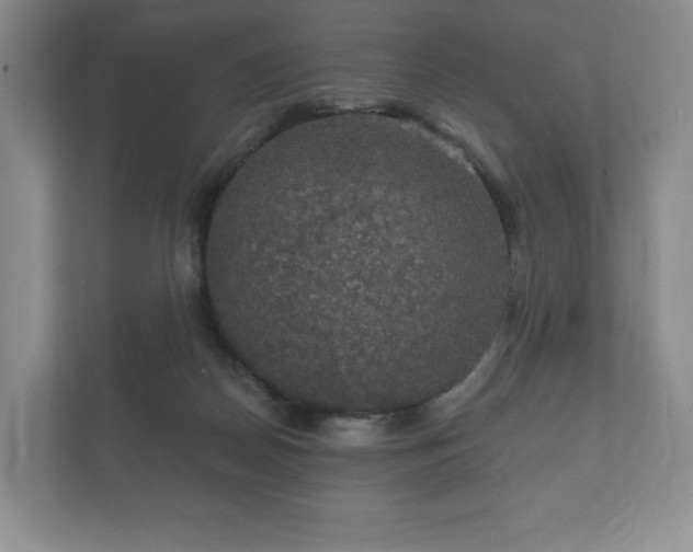 X0000112430170200908211208