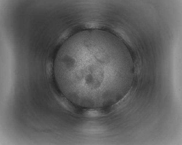X0000112430171200908211208