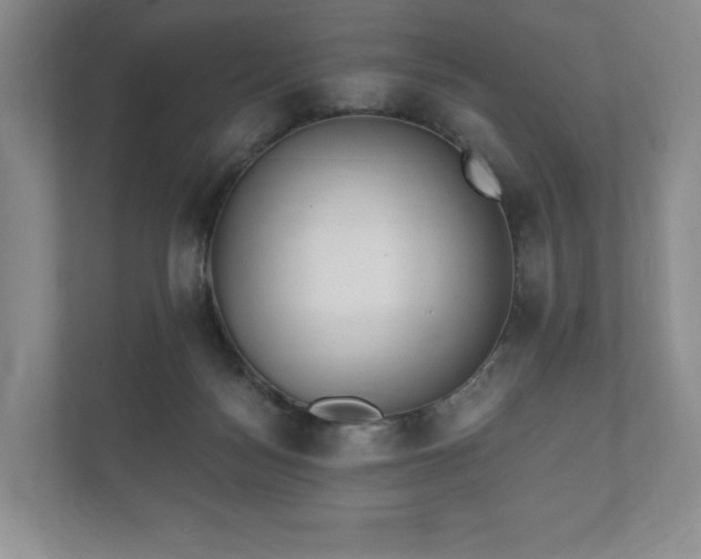 X0000112430172200908211208