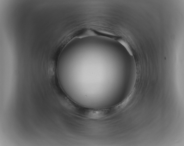 X0000112430174200908211208