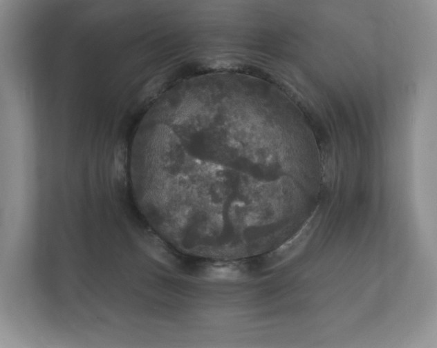 X0000112430175200908211208