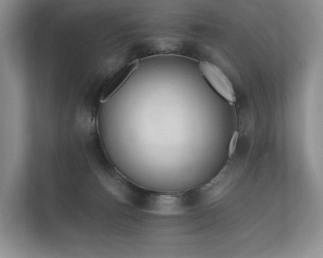 X0000112430176200908211208