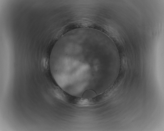 X0000112430177200908211208