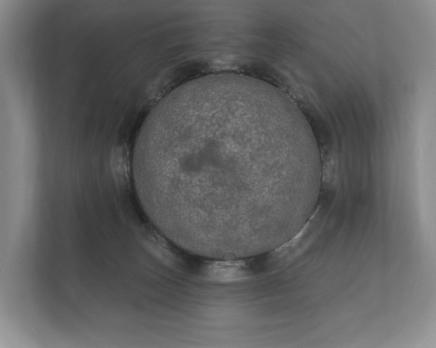 X0000112430179200908211208