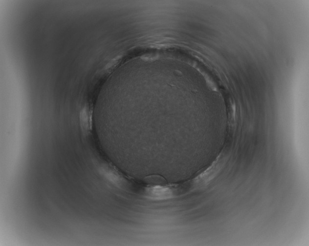 X0000112430180200908211208