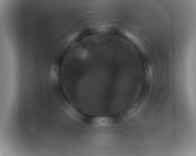 X0000112430181200908211208