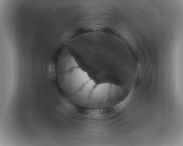 X0000112430182200908211208