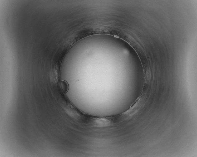 X0000112430183200908211208