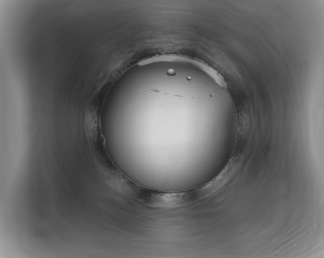 X0000112430184200908211208