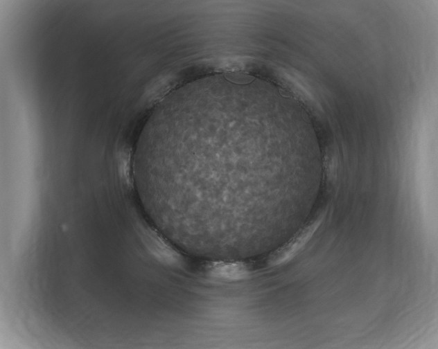 X0000112430185200908211208