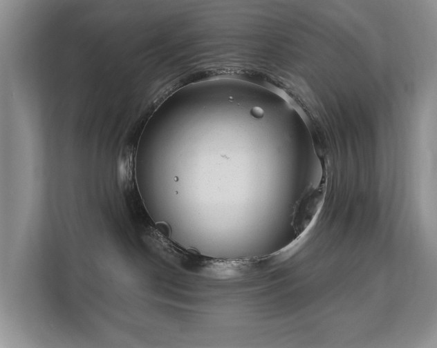 X0000112430190200908211208