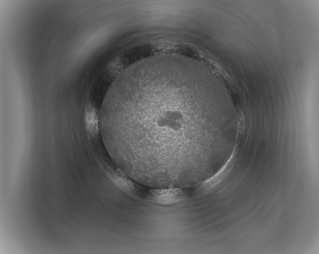 X0000112430191200908211208