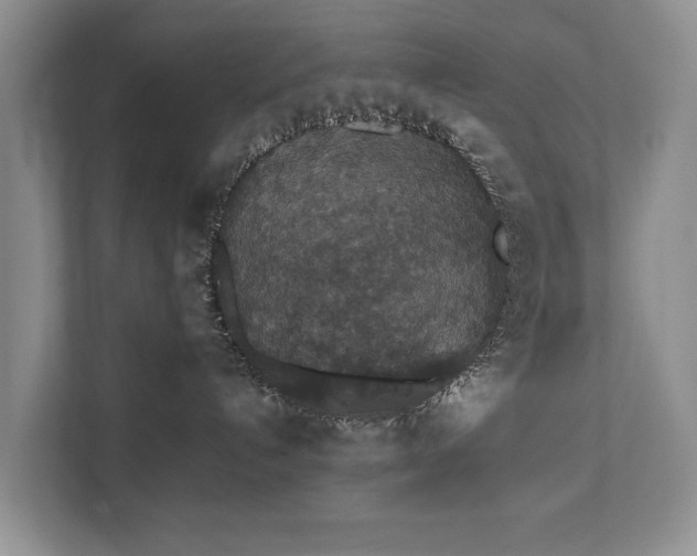 X0000112430192200908211208