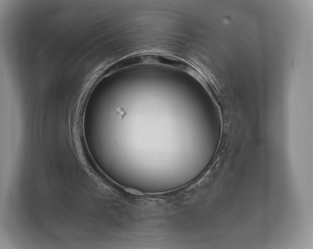 X0000112430193200908211207