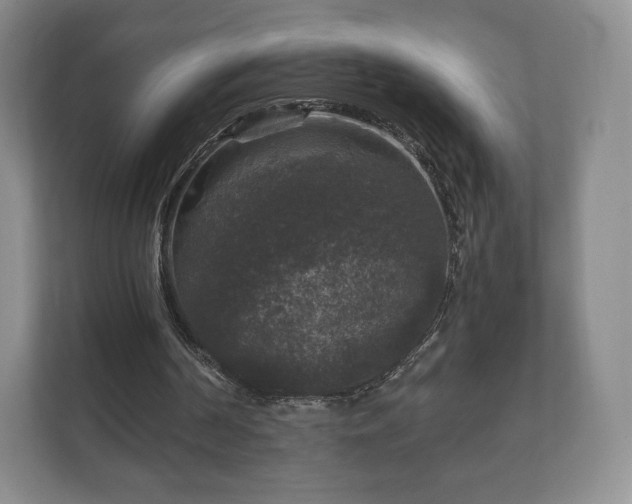 X0000112430194200908211207