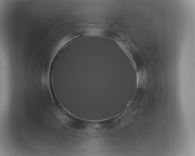 X0000112430195200908211207