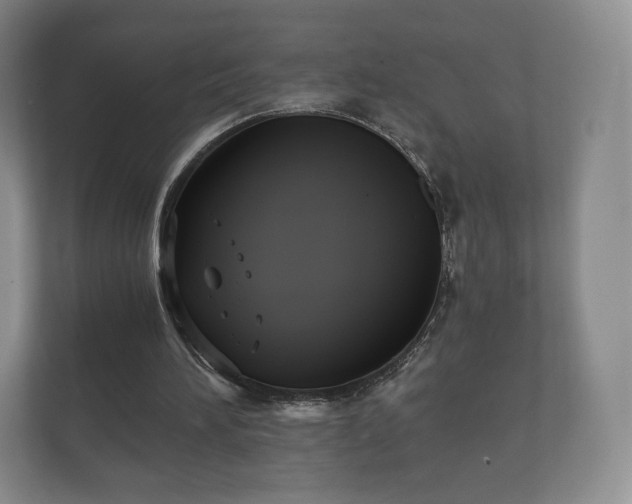 X0000112430196200908211207
