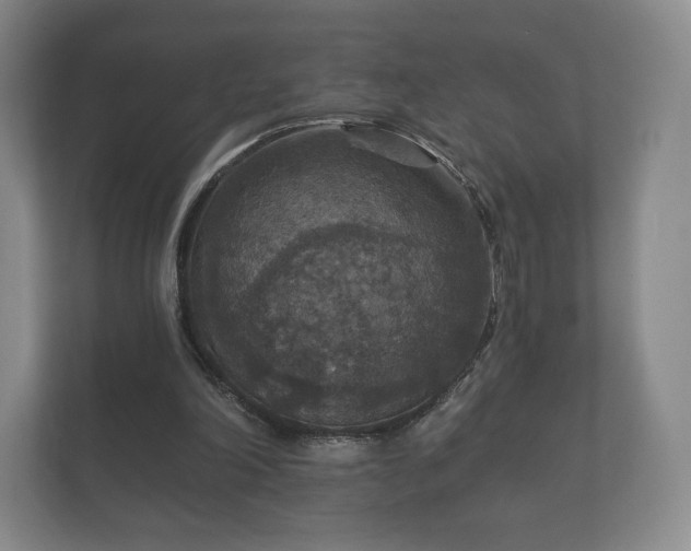 X0000112430198200908211207