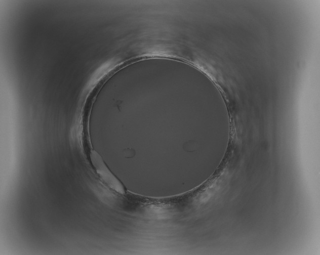 X0000112430199200908211207