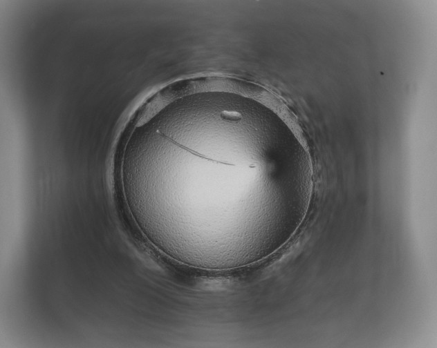 X0000112430200200908211207
