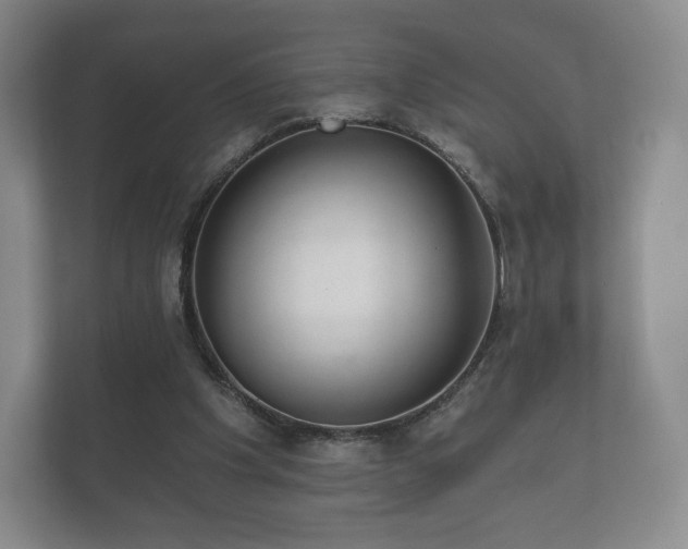 X0000112430201200908211207
