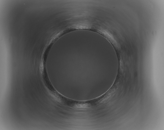 X0000112430202200908211207