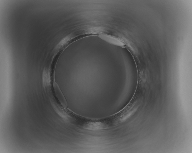 X0000112430203200908211207