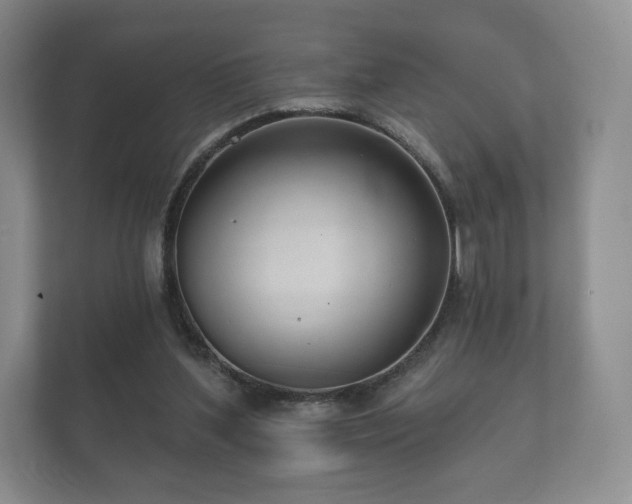 X0000112430204200908211207